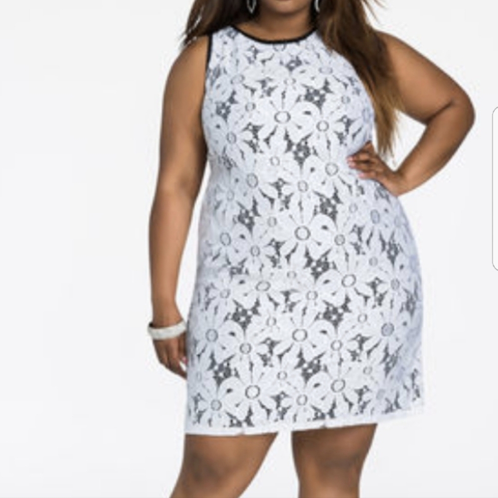 NWT Ashley Stewart Lace Overlay Dress